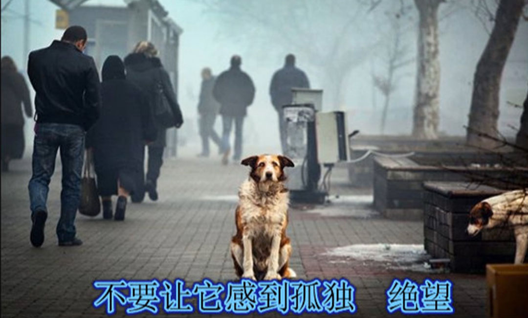 梧州梧州爱影圈微博微信转发案例